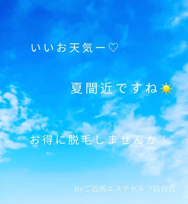 画像294