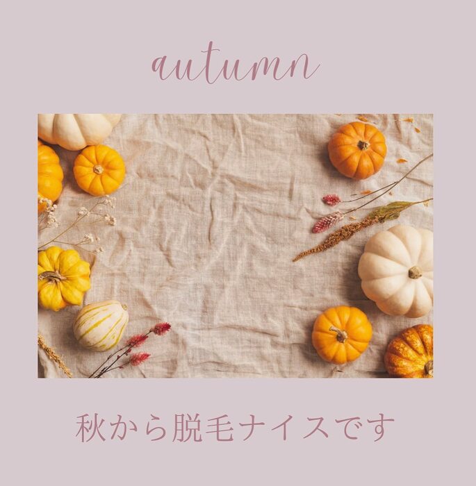 画像417