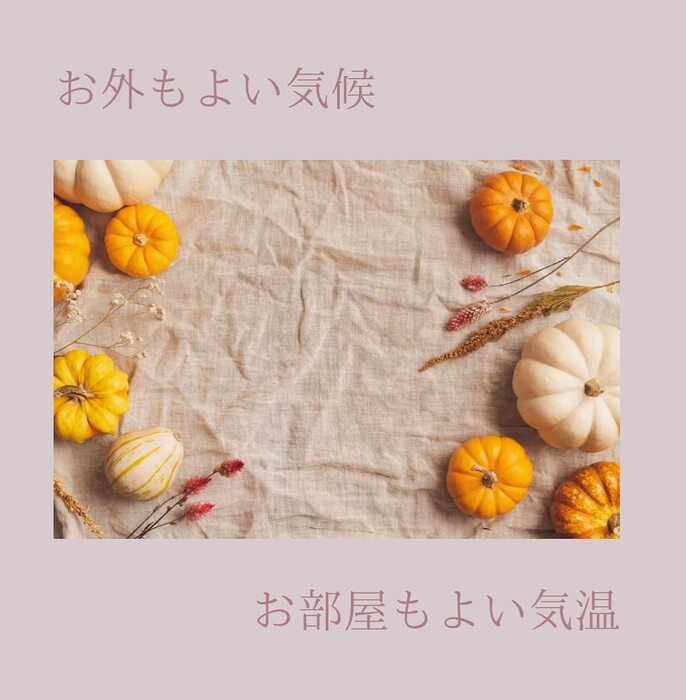 画像418