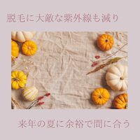 画像419