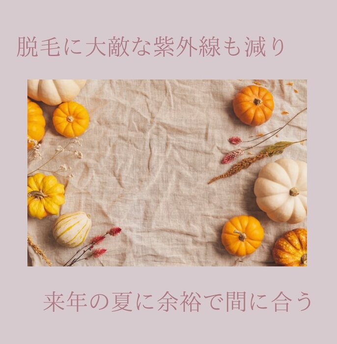画像419